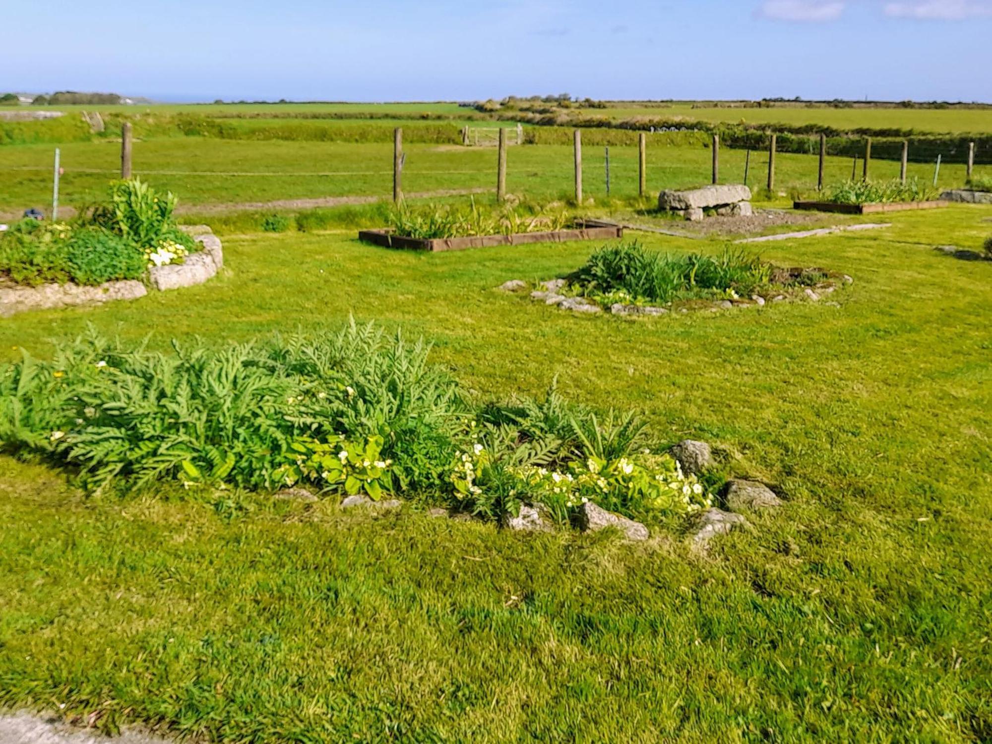 Ash Tree Cottage Carnbrea Eksteriør billede
